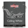  Signature Plus Celing White Richard’s Paint